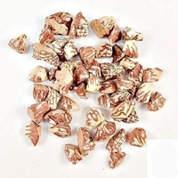 Supari Tukda - 100gm