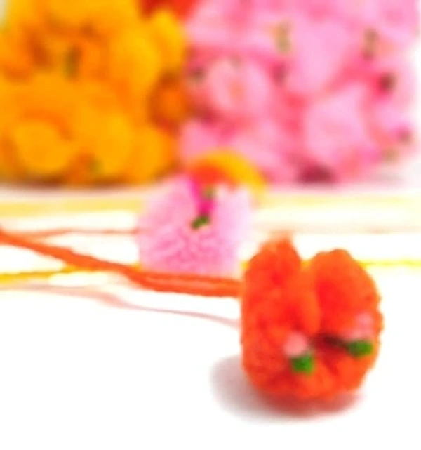 MQS - Rakhi Flower Gota Pati rakhi Pooja rakhi Pom Pom rakhi Feather Soft Children Rakhi Sharvan God rakhi Raksha Bandhan Gift Band Moli Bracelet (Set of 15)