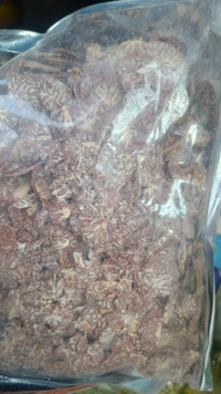 Supari Cutting Plain Chips Supari (GOL-MOL) (100 Gram) Chaliya Chips Supari, Betel-nut Chips Cut | - 100g