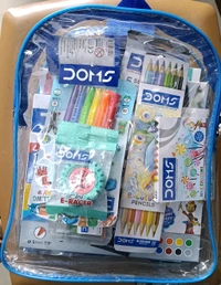 DOMS JUNIOR ART KIT BAG