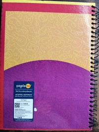 COPISTO REGISTER UNRULED 400PG (PACK OF 3)