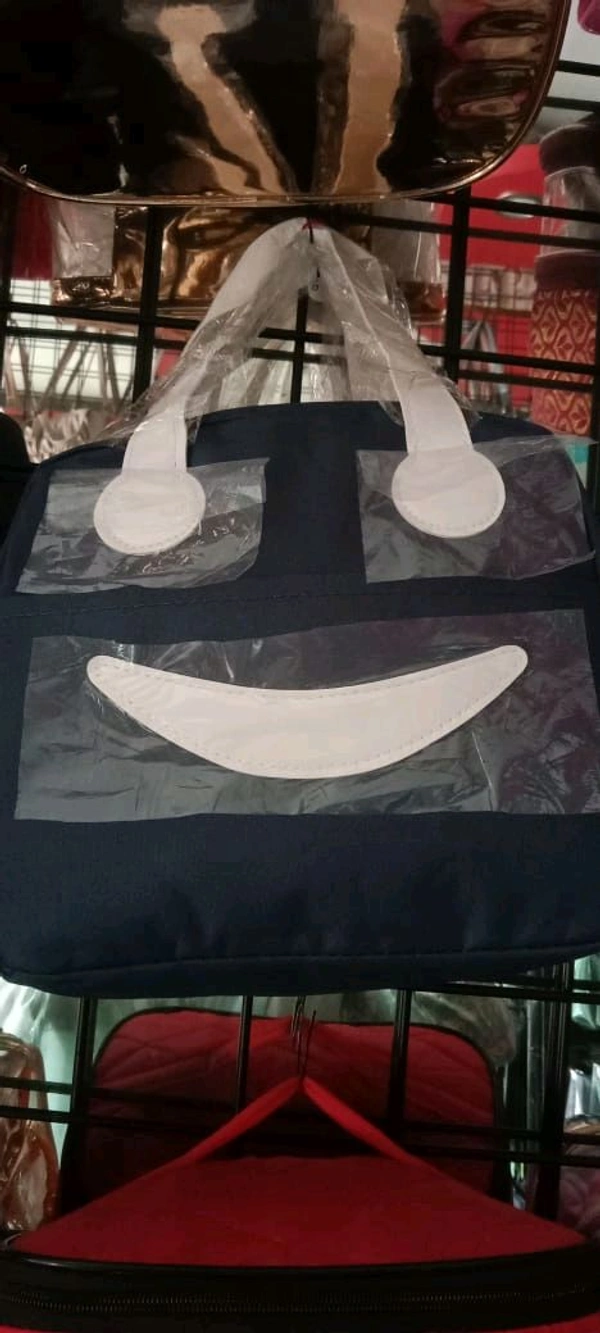 LUNCH BOX BAG