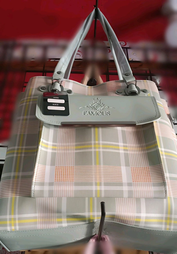 HAND BAG CHECKED 