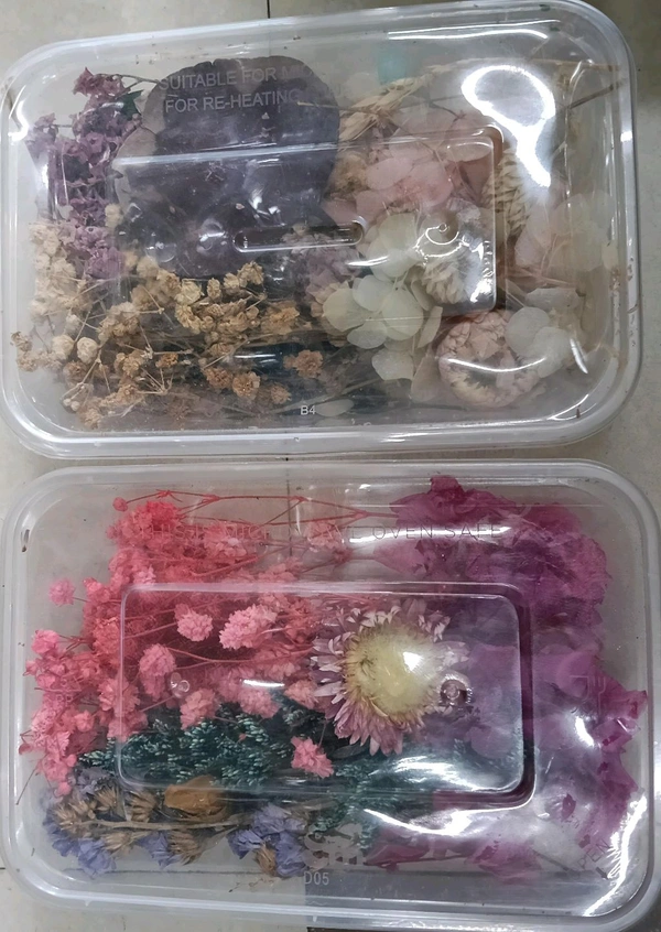 CRAFT DRY FLOWER 