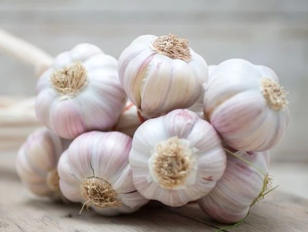 Garlic (Lahsun, Nohoru) - 250g