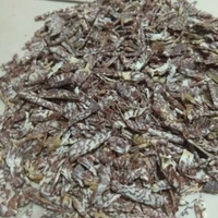 Supari Cutting Plain Chips Supari (GOL-MOL) (100 Gram) Chaliya Chips Supari, Betel-nut Chips Cut | - 100g