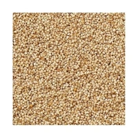 Victory Poppy Seeds/Posto Dana (Loose) - 50g