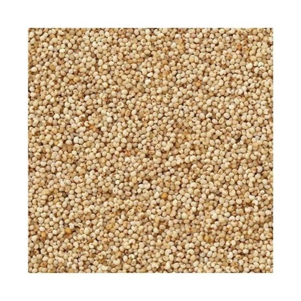Victory Poppy Seeds/Posto Dana (Loose) - 50g
