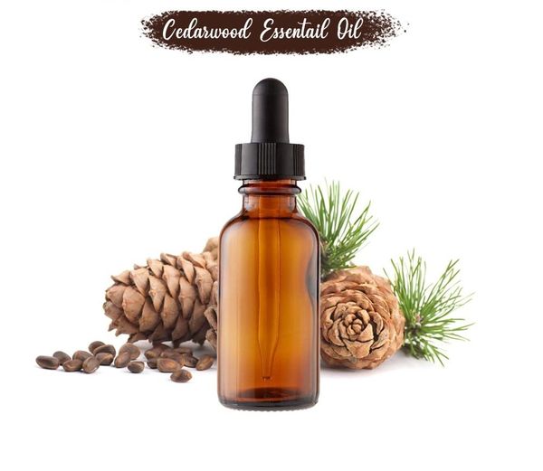 Cedarwood Oil(Ind) - 15 ml