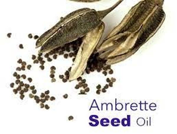 Ambrette seed - 15 ml