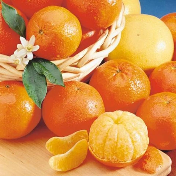 Tangerine - 15 ml