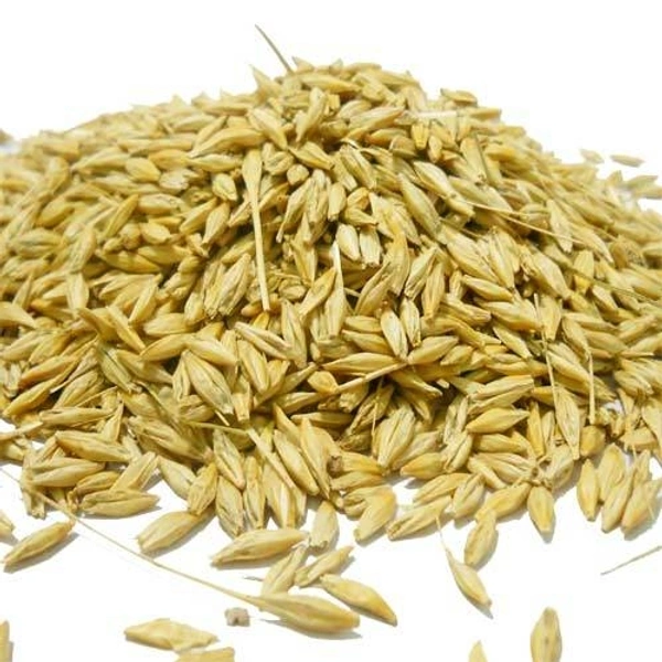 Jaoo For Puja  - 100gm