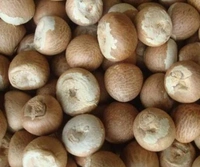 Puja Supari ( 10pcs ) Pack 