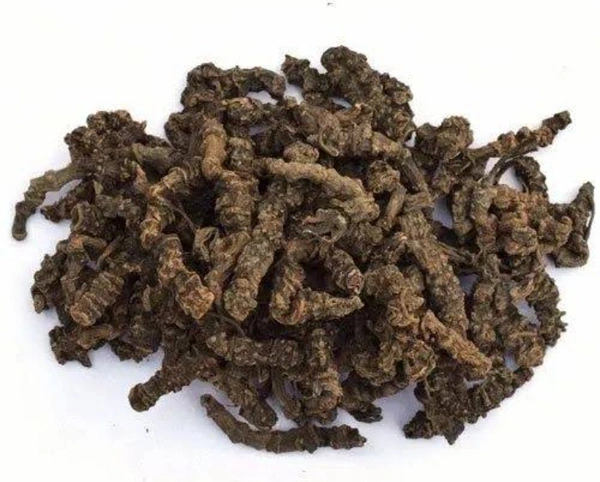 Sugandh Baala (सुगंध बाला ) 10gm 