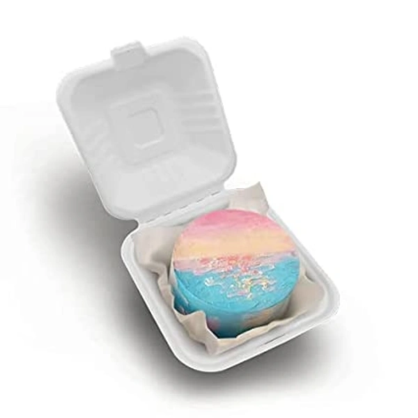 Bento Cake Box