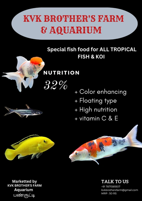 All Fish Food  (40g) - 1mm