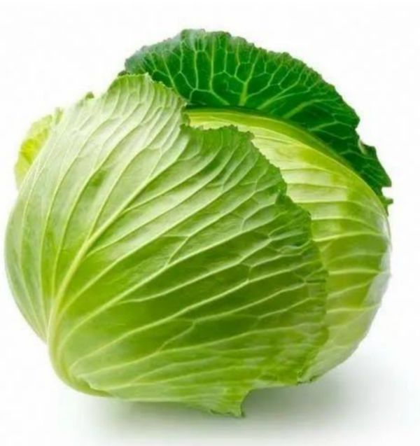 Green Cabbage : - 1kg