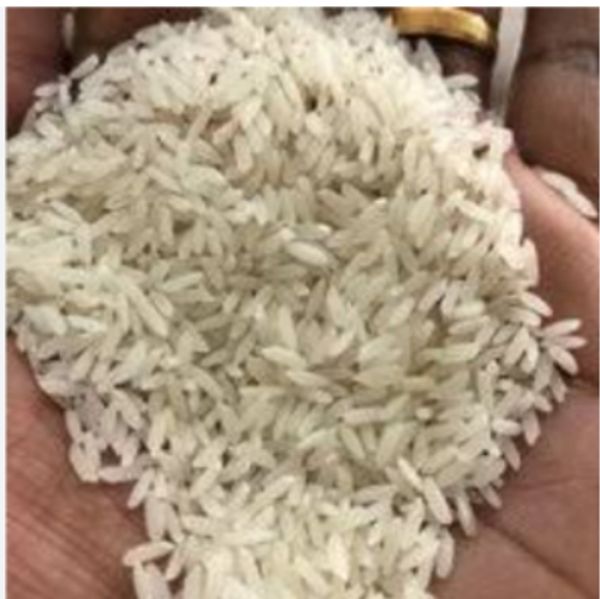 steam Kolam Rice : - 26kg