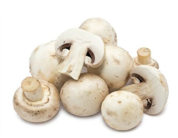 Mushroom : - 1 gaddi