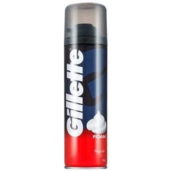 Gillette  Foam 196 gm