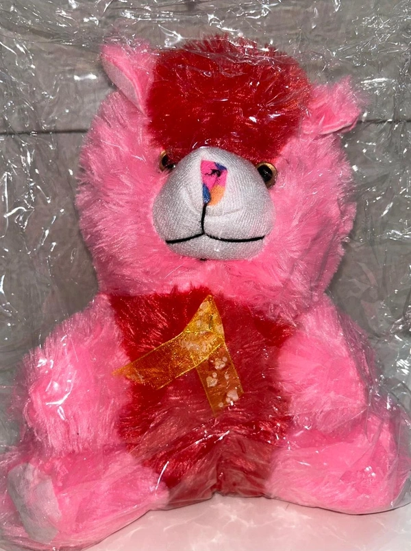 Small Cat Teddy 