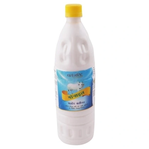 PATANJALI PHENYL