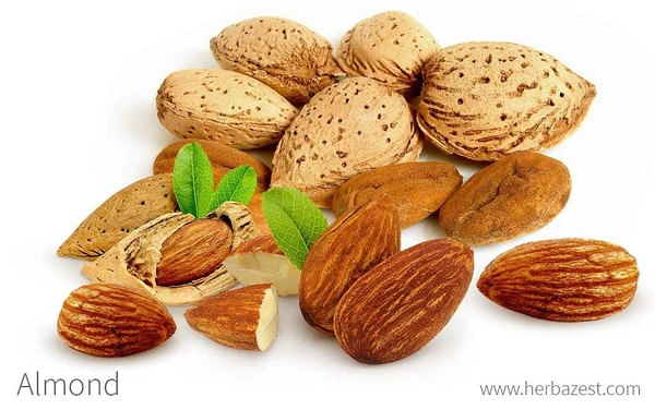 ALMOND 100G(ପିଷ୍ଟାବଦମ୍)