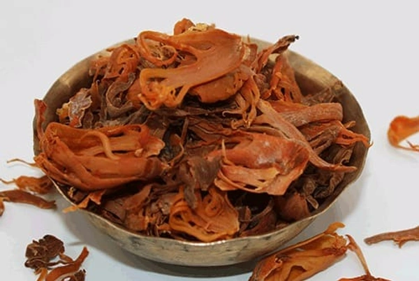 JAYATRI 20G (ଯାଇତ୍ରି) 