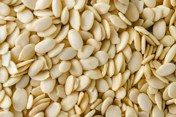 CHARMAGAZ 100G ( ମଗଜ)
