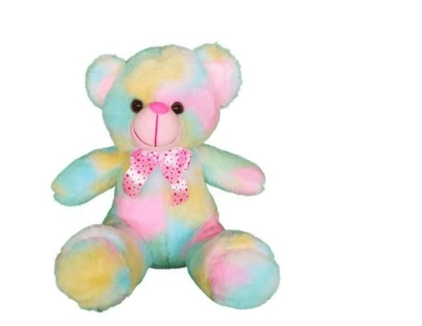 RAINBOW TEDDY BIG