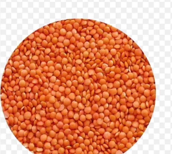 Masura Dali 500gm