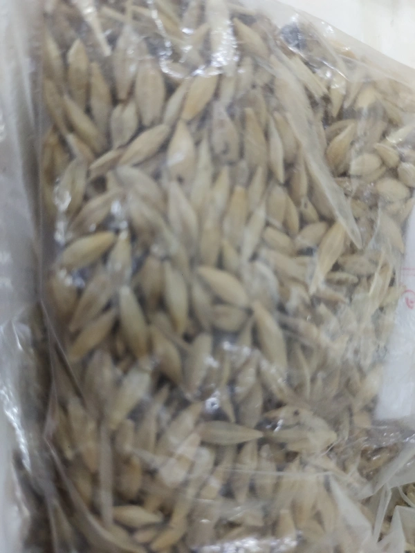 Jaba Dhana10g