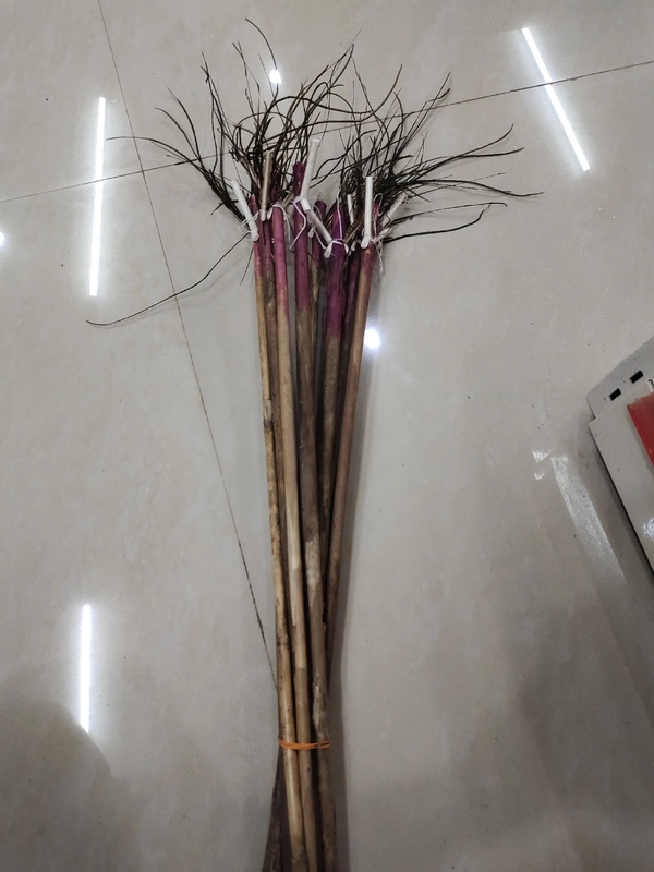 Kanda 1pc