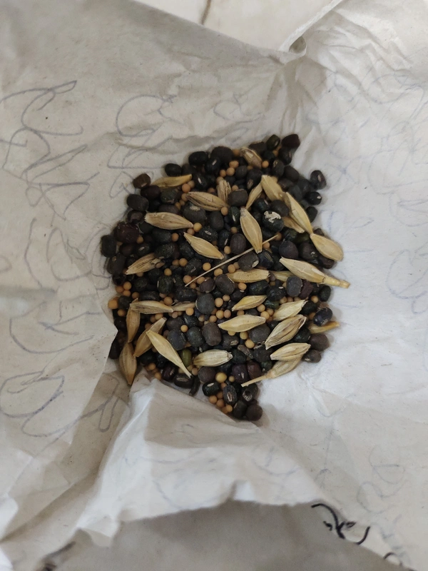 Pancha Sashya