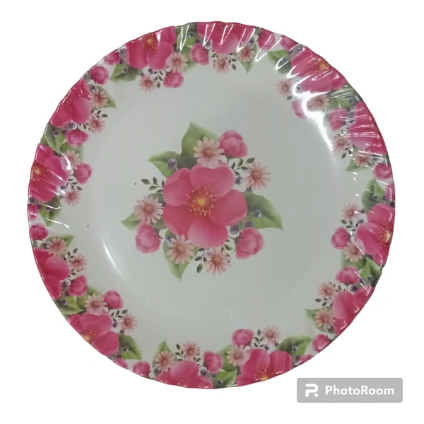 Dinner Plate Big