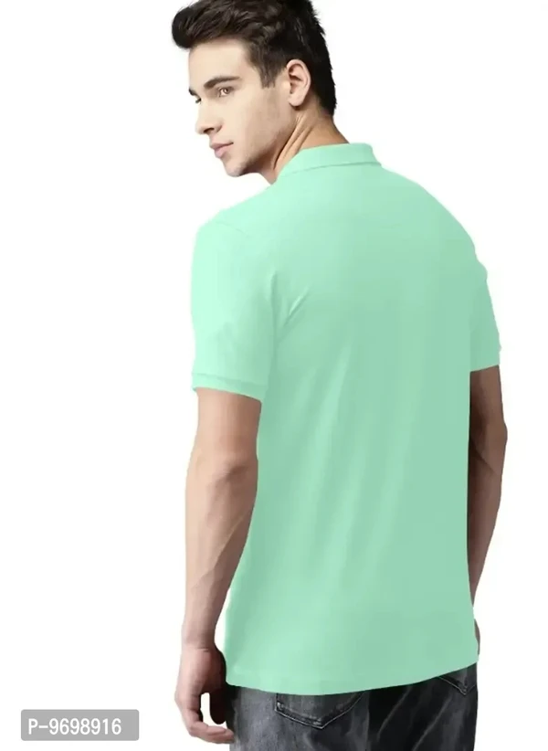 POLO KOLER T SHIRT  - L