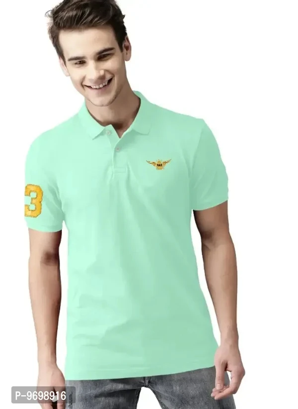 POLO KOLER T SHIRT  - L