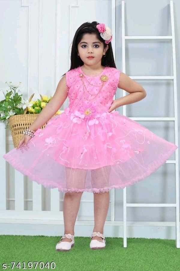 Baby Girls Beautiful Net Frock  - 3-4 Years