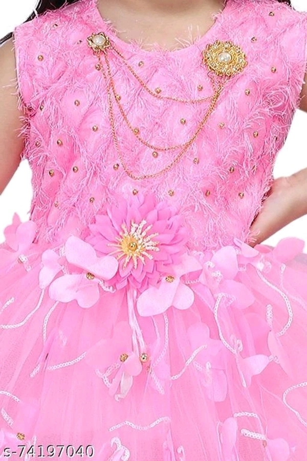 Baby Girls Beautiful Net Frock  - 3-4 Years