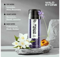 WILD STONE Night Rider & Beyond Deodorant Spray For Men ( 300ml, Pack Of 2 )