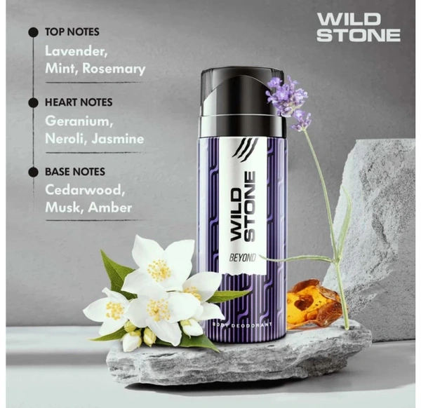 WILD STONE Night Rider & Beyond Deodorant Spray For Men ( 300ml, Pack Of 2 )