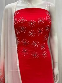 GEORGETTE SHADED Net Handwork 