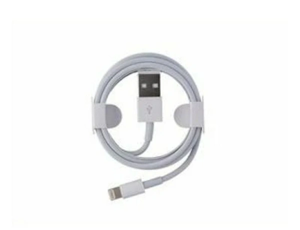 Apple USb Adapter 100% OG - Combo With Lightning Jack