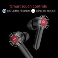 Noise Buds VS201 V2 True Wireless Earbuds with Dual Equalizer | Total 14-hour playtime | Full Touch Control | IPX5 water resistance and Bluetooth v5.1 (Charcoal Black) With 1 Year Warranty