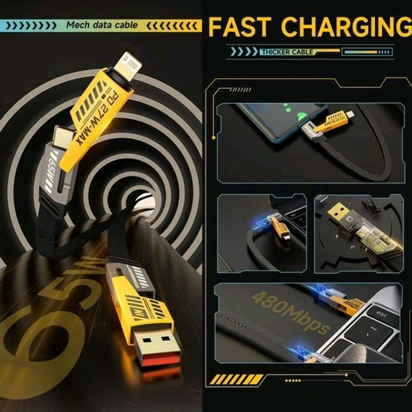 Rena 4-in-1 multi-functional fast charging cable
