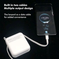 Rena 10000mAH Mini  Power Bank 
