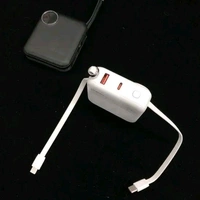 Rena 10000mAH Mini Power Bank