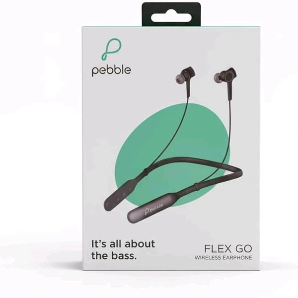 Pebble Flex GO