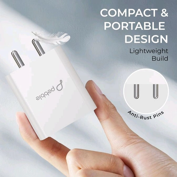 Pebble 2.4 Amp Wall Charger