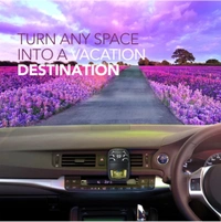 Ambi Pure Car
